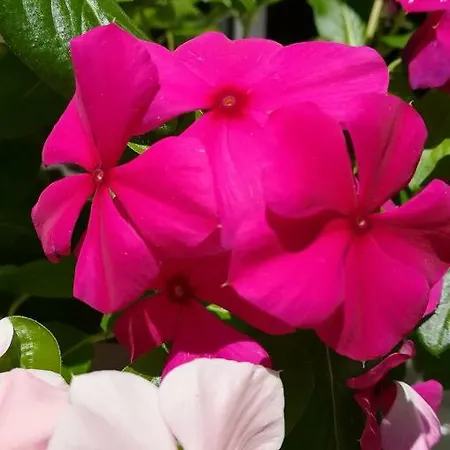 Moulin La Papeterie Panzió *