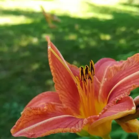 Moulin La Papeterie Panzió Tence