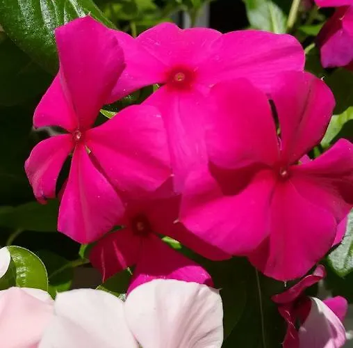 Moulin La Papeterie Отель типа 