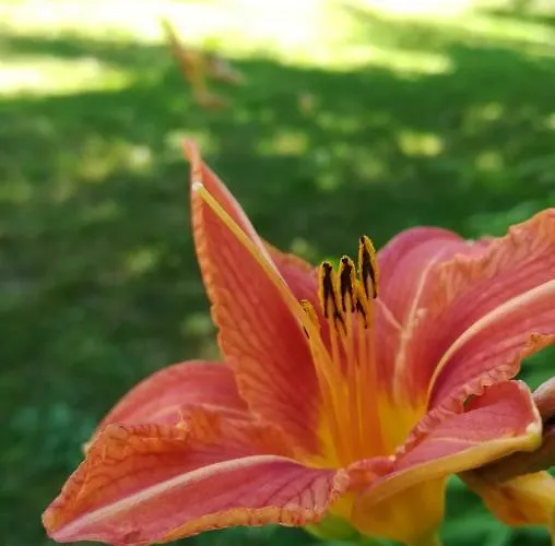 Moulin La Papeterie Отель типа 